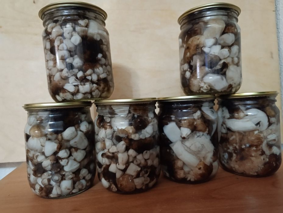 Продам грибы.валуи