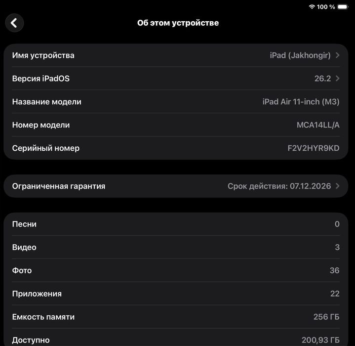 iPad 11 M3 256 GB Wi-Fi