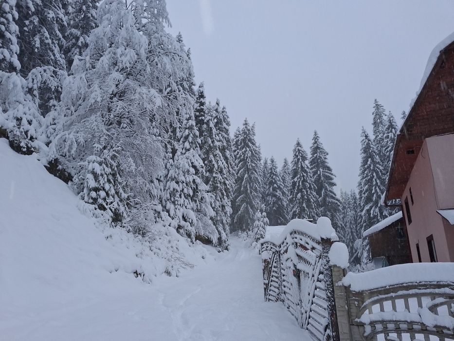 Cazare Arieseni Pensiunea Nicoleta
