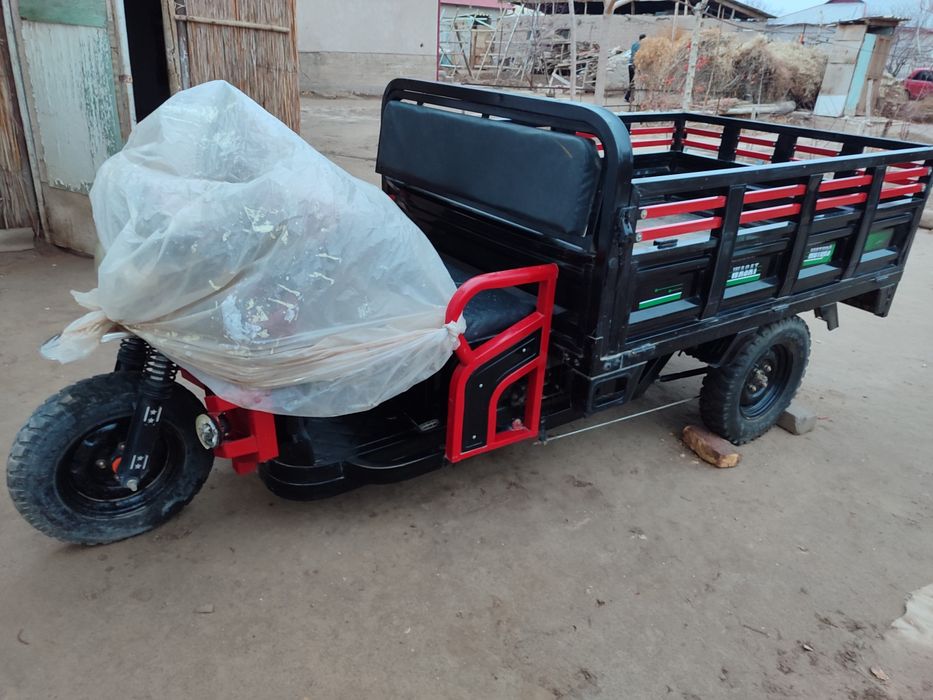 Муравей Тоқ пенен жүреди