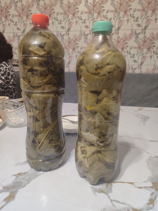 Продам виноградные листья