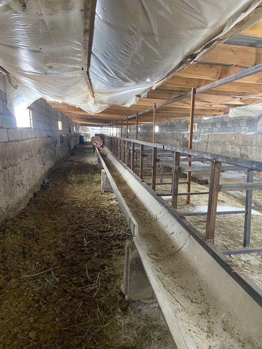 Продается К/Х Каратальском районе в г. Уштобе