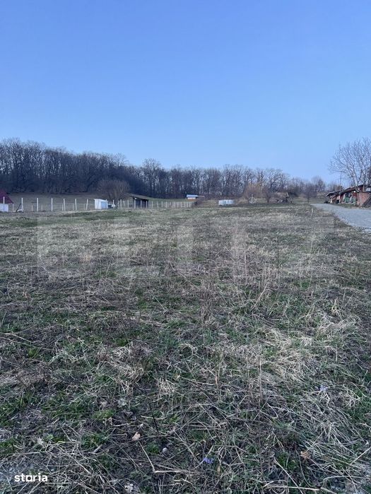 Parcele la padure in extensie intravilan , Drumul Tarpiului