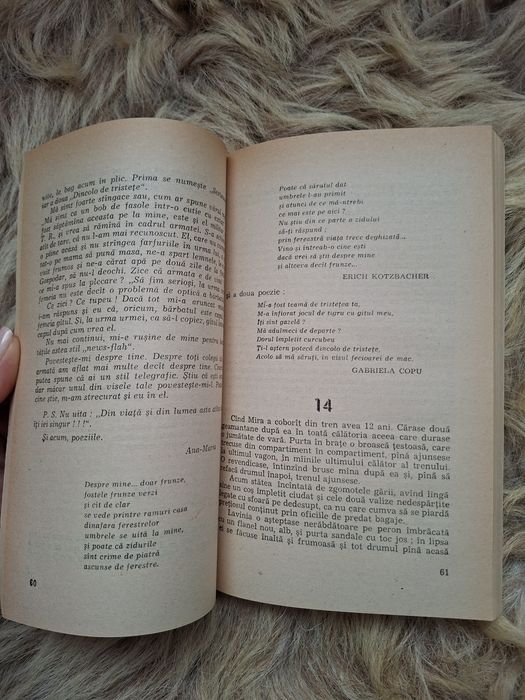 ,,Podul de vise"-Areta Șandru