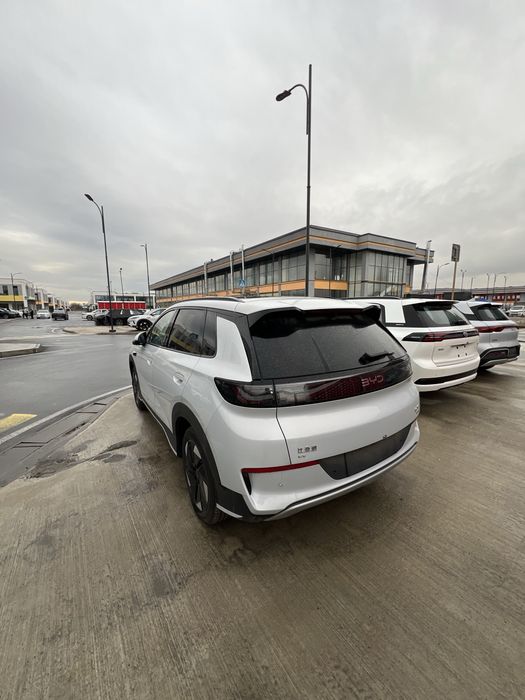 bydsealion05restailing