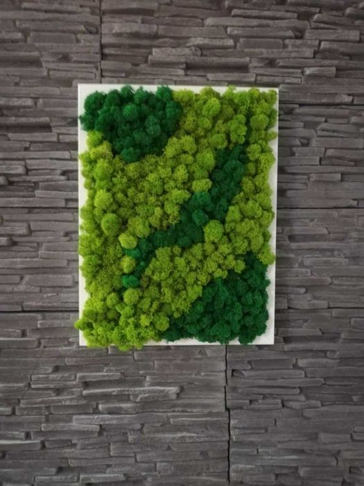 Пано от скандинавски мъх , Пана и картини по поръчка , декорация зелен скандинавски мъх с рамка или без