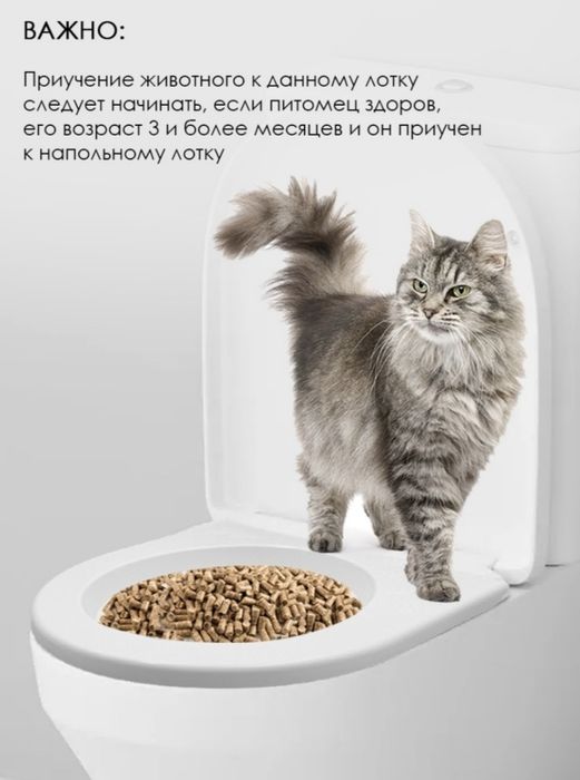 Система приучения кошек к унитазу.