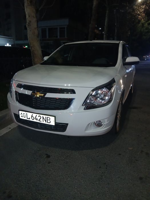 Arenda. Nasiya cobalt