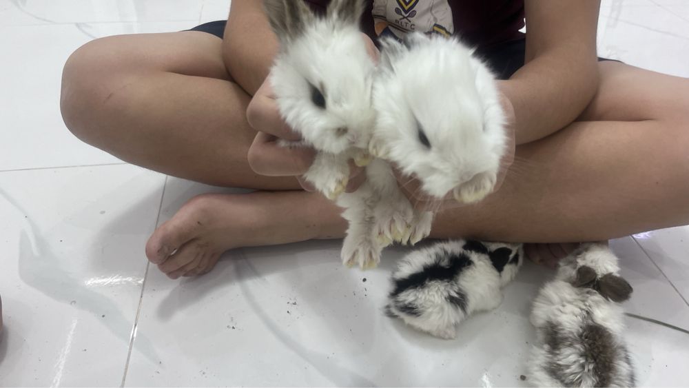 Крочата. Сатылады