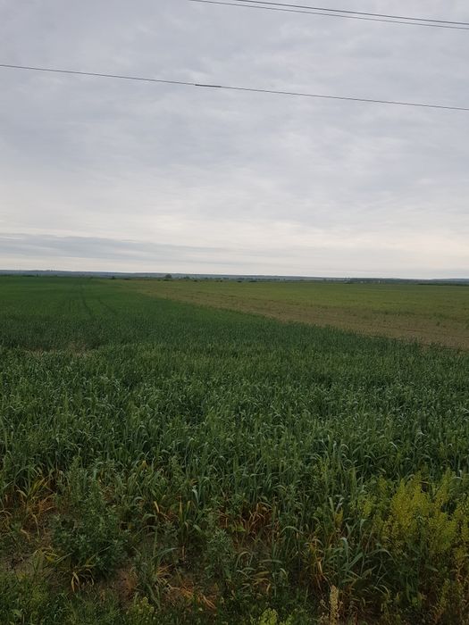 Vand teren extravilan