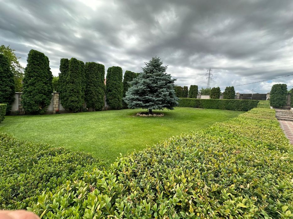 Casa S+P+E+M cu piscina