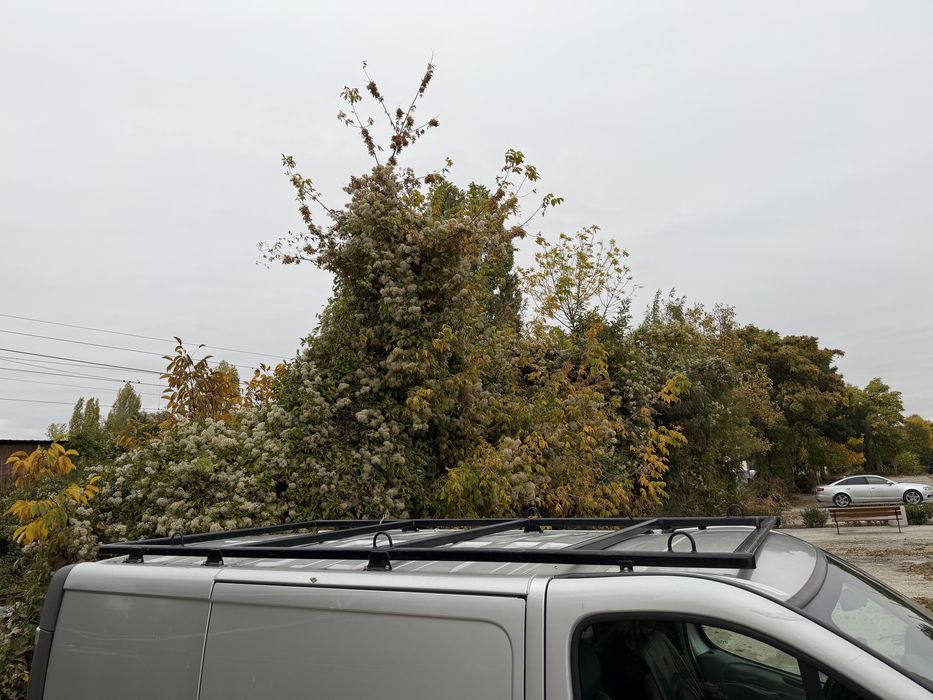 Рейлинг багажник за opel vivaro, renault trafic, nissan primastar