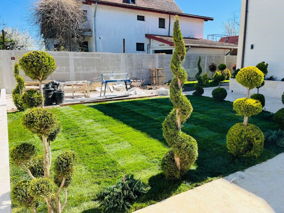 Gazon rulou sistem de irigații si plante ornamentale