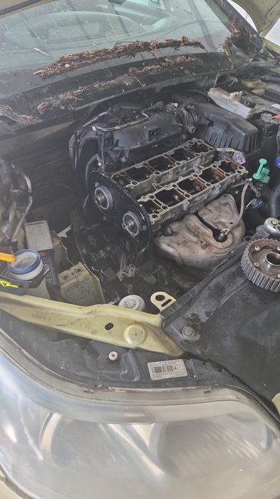 Service auto domnești