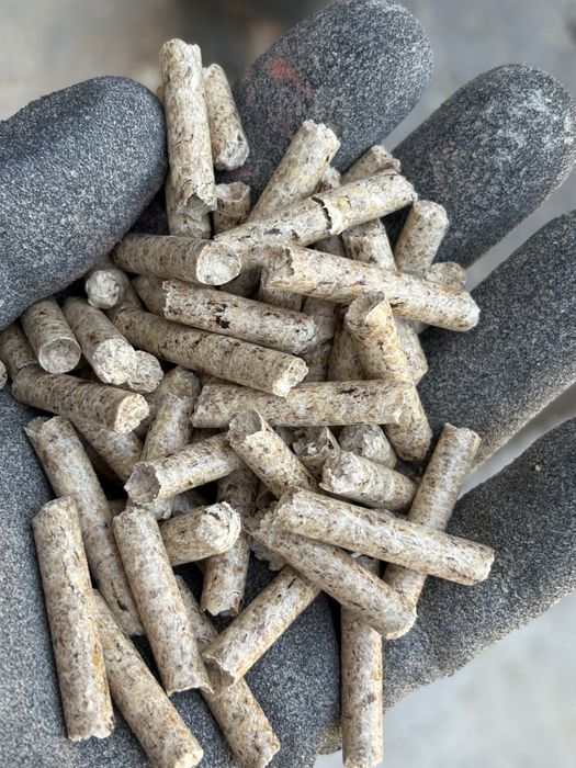 Peleti amestec rasinose cu fag