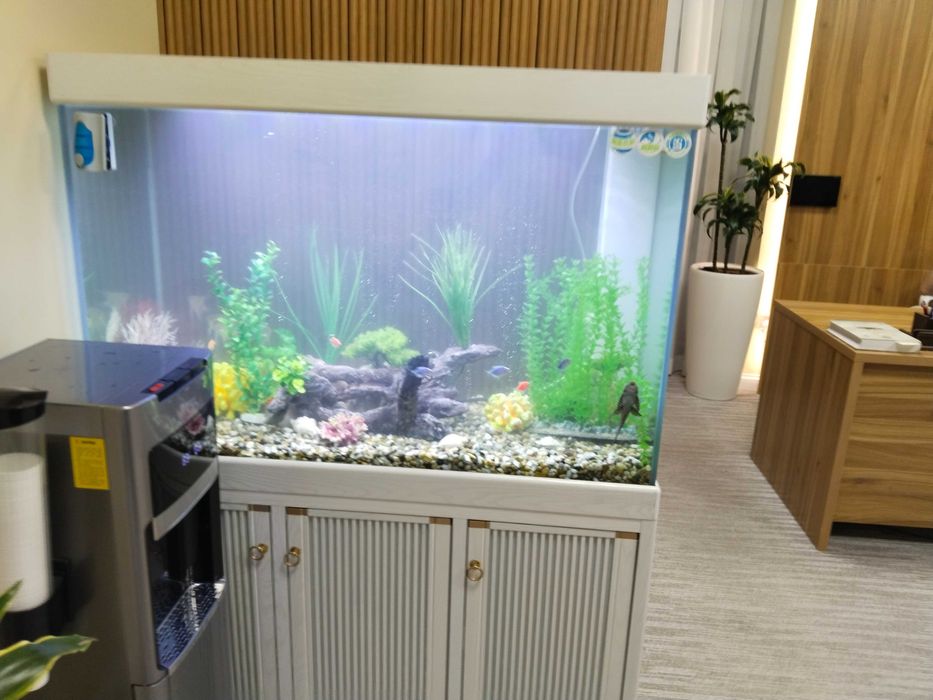 Профессиональная чистка аквариума AQUALIFE