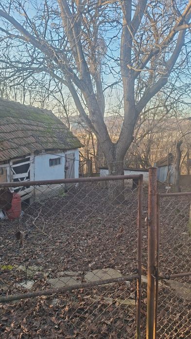 Vand casa la Tarnaveni