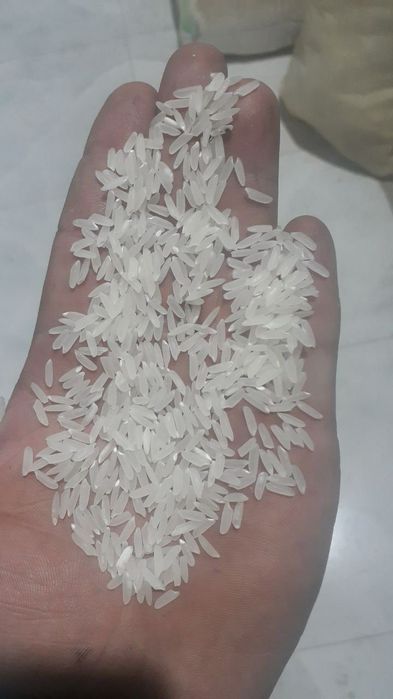 Хоразм гуруч база, оптом перечисления, Xorazm guruch optom