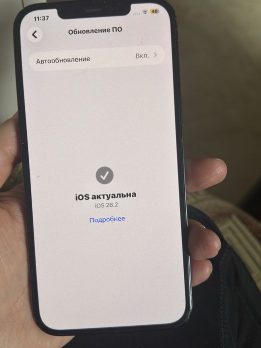 Iphone 12 Pro Max 256 GB