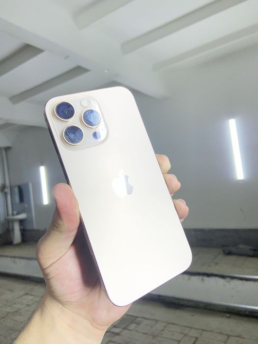 iPhone 16 Pro Max ideal