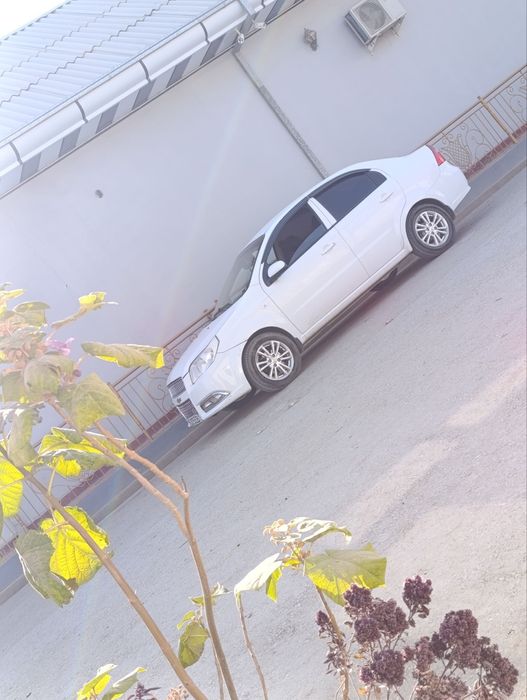 Nexia 3 arendaga beriladi