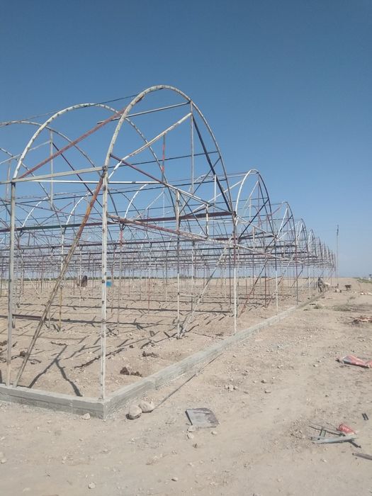 Harhl  turdag  tiplisa  tom  naveslar  quramz  tololar  kelishtrlgan h