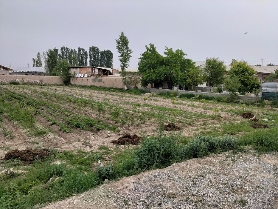 16sotik yer sotiladi