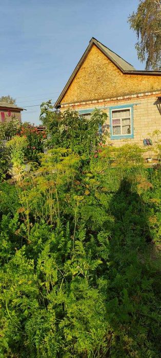 Дача 10 соток Общество «Ракета»