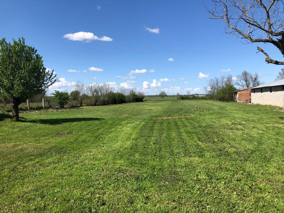 Vand teren intravilan Dragsina 37euro mp