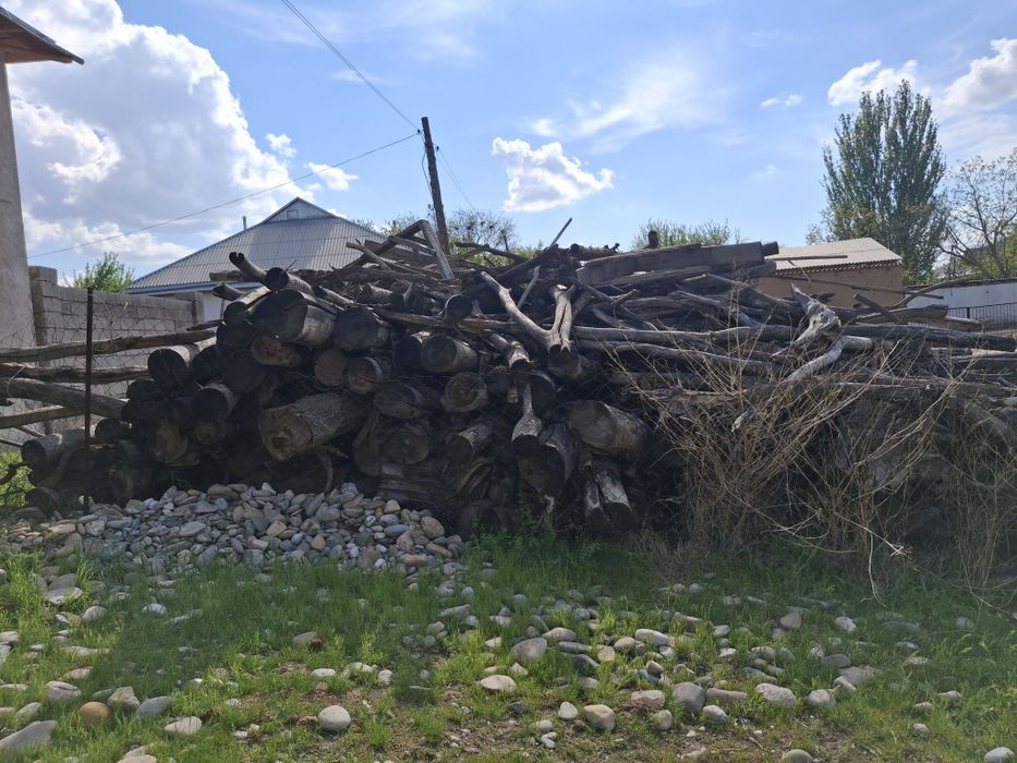 Отын ағаш бар сатылады