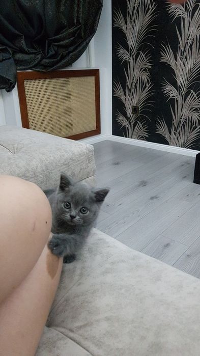 Девочки и мальчики 1.5 мес