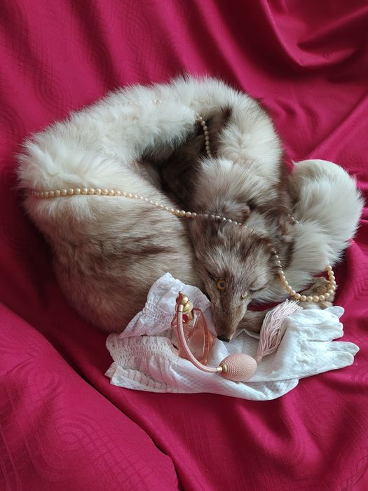 Яка от цяла сребърна лисица