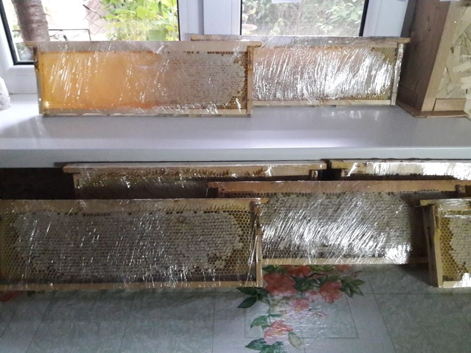 Продам мед со своей пасеки.