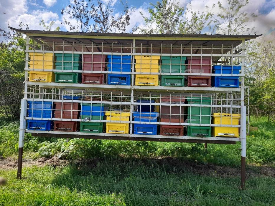 Rastel din fier pentru albine