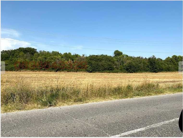 Продава се Парцел в с. Златовръх, Област Пловдив - 5379 кв.м за 7 €/кв.м - Снимка #3