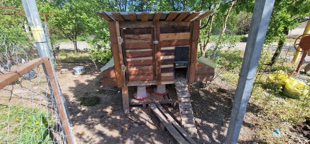 Кокошарник / курник