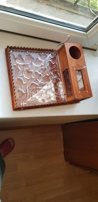 Продам Муравиную ферму