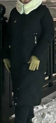 Черная Зимная куртка