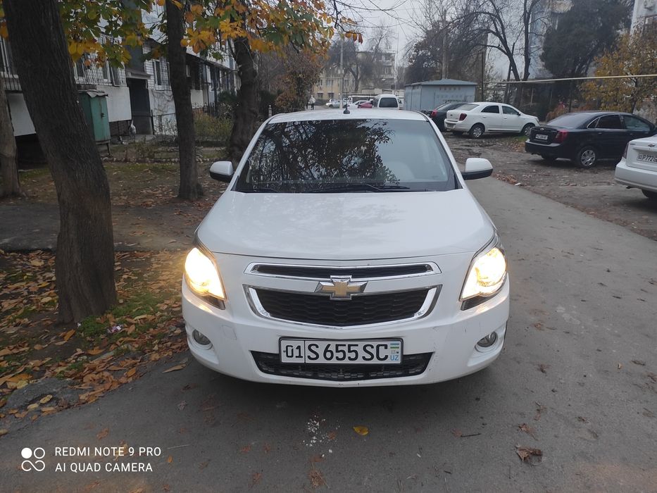 Кобалт сухой аренда