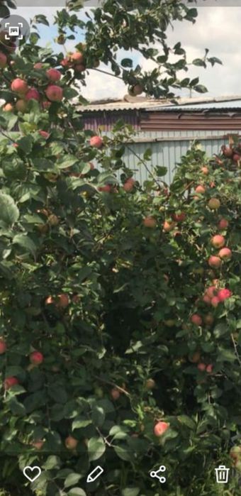 продам дом с.Байтерек