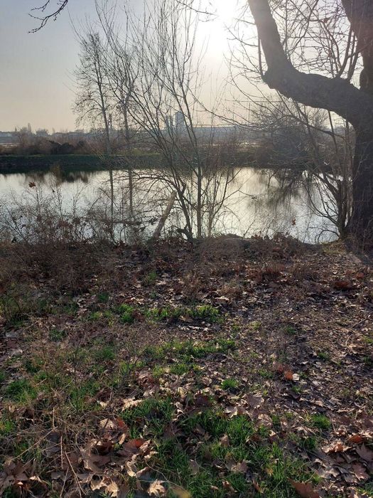 Чинозда ер сотилади 2.4 гектар