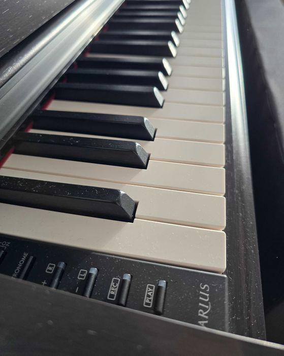 Пианино Yamaha YDP-165