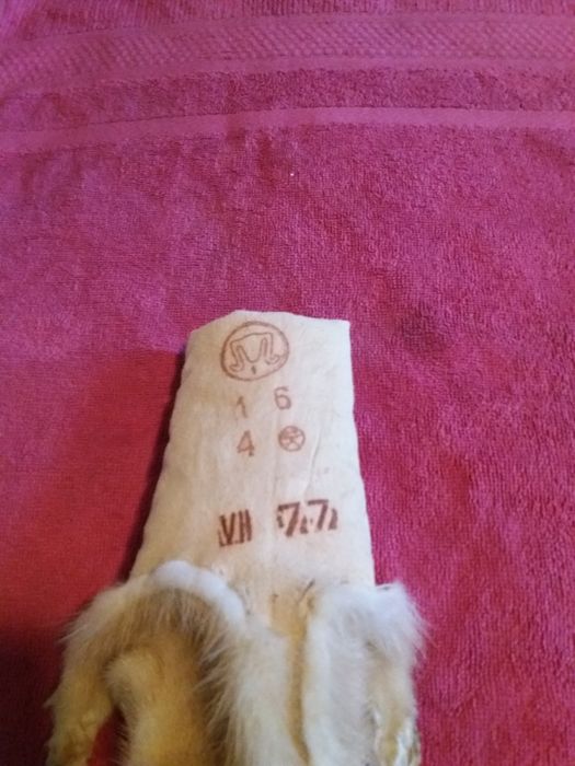 Норковая шкурка золотисто жёлтого цвета.