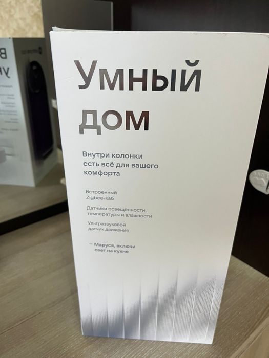 Умная колонка ВК капсула PRO