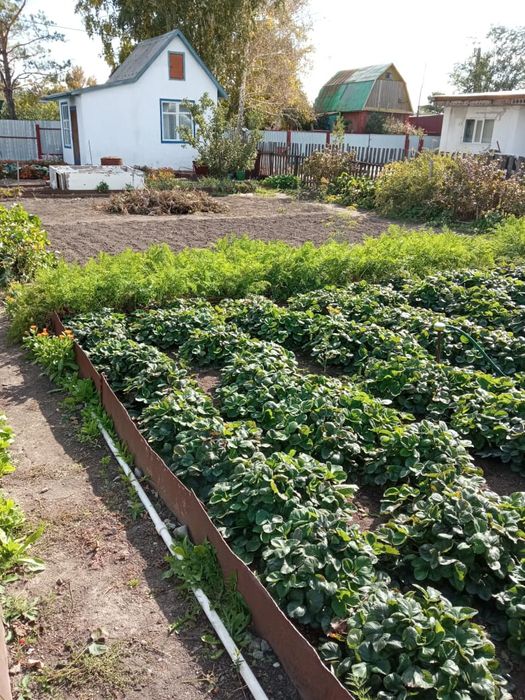 Продается дача Радуга 2