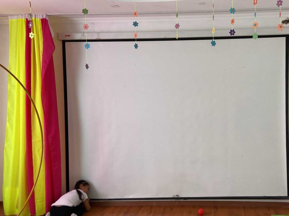 проектор epson с экраном