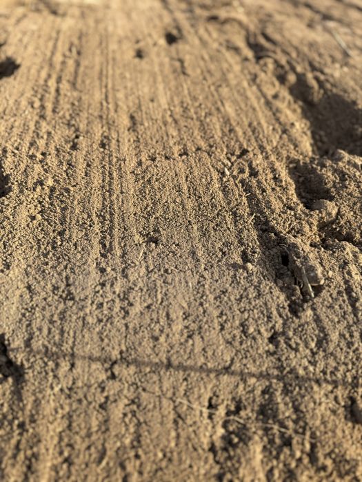 Предлагаме хумусна почвa