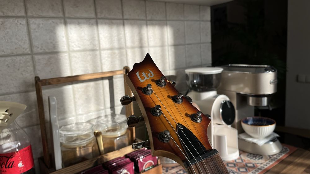 Электрогитара ESP LTD H-101fm