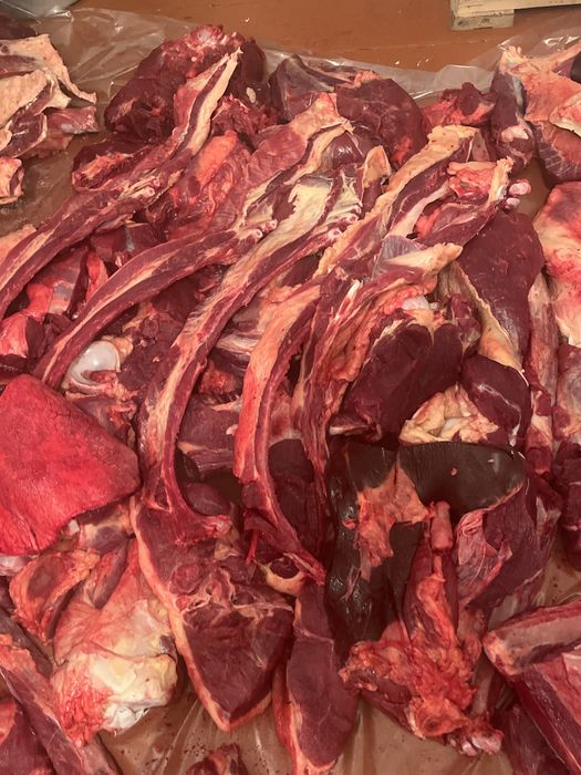 Семіз тайдын 4 аягы бар сатылымда