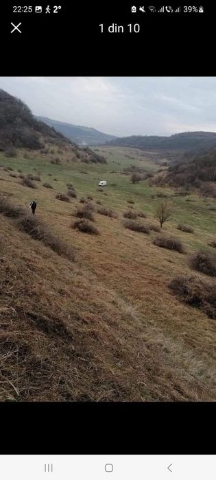 Curățăm,curățare pășuni(tăiem vegetație sălbatică,curățat,curățăm,defi